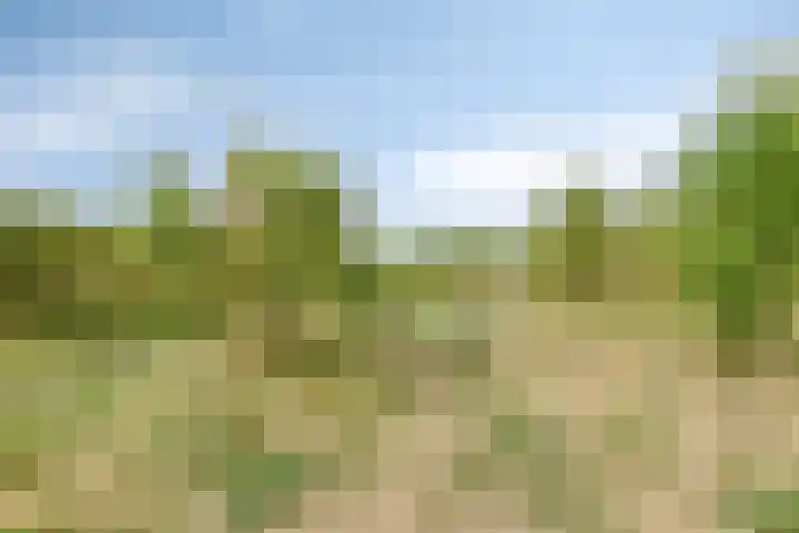 Evenementenlaan 15 Leiden thumbnail 25