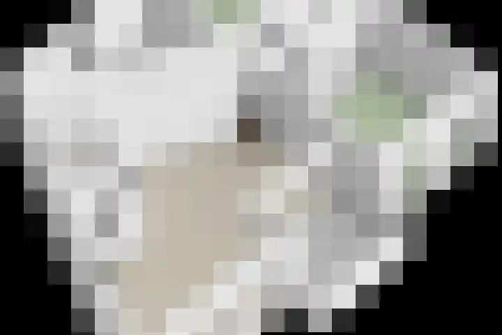 Evenementenlaan 15 Leiden thumbnail 27
