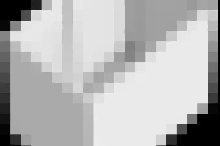 Evenementenlaan 15 Leiden thumbnail 29