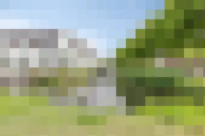 Evenementenlaan 15 Leiden thumbnail 30