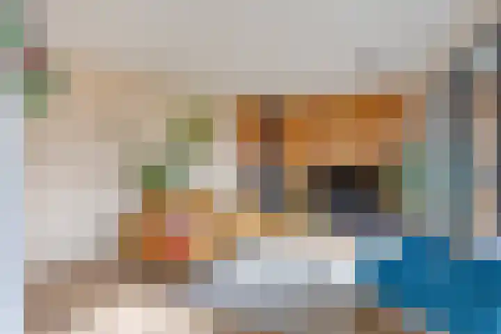 Evenementenlaan 15 Leiden thumbnail 6