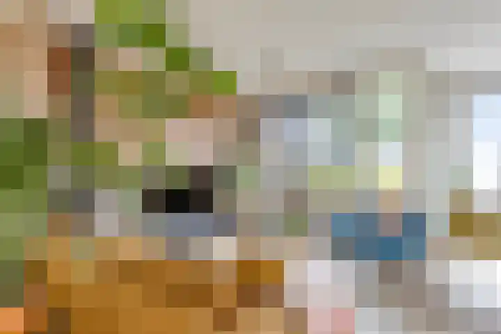 Evenementenlaan 15 Leiden thumbnail 7