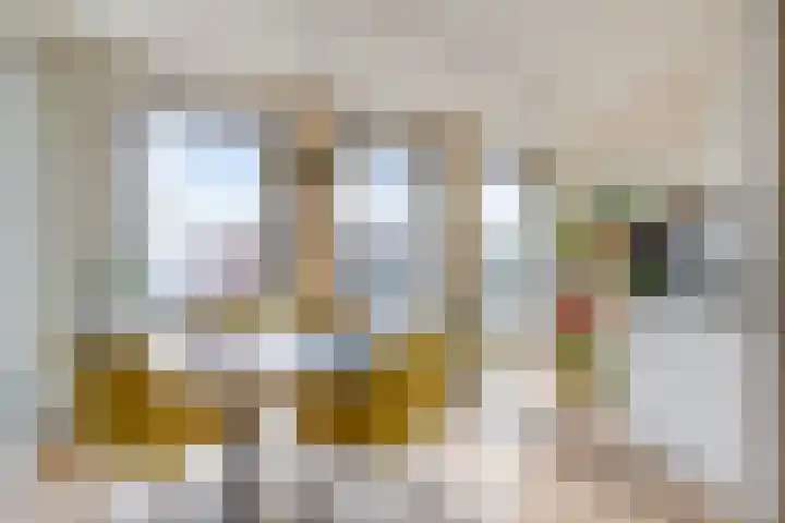 Evenementenlaan 15 Leiden thumbnail 9