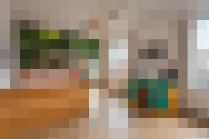 Evenementenlaan 27 Leiden thumbnail 23