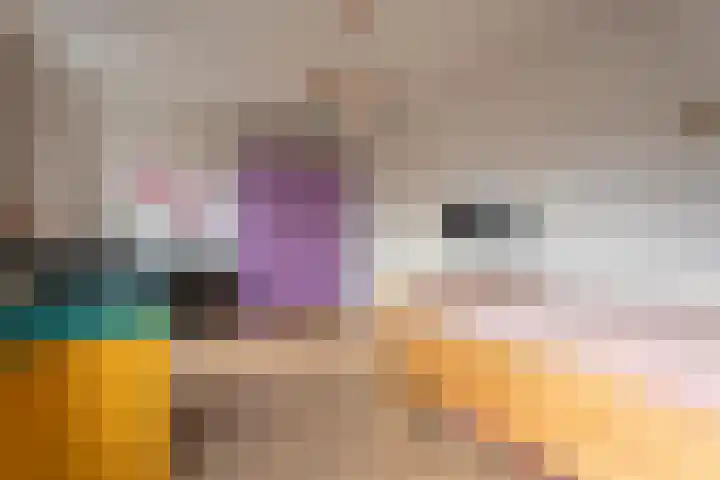 Evenementenlaan 27 Leiden thumbnail 24