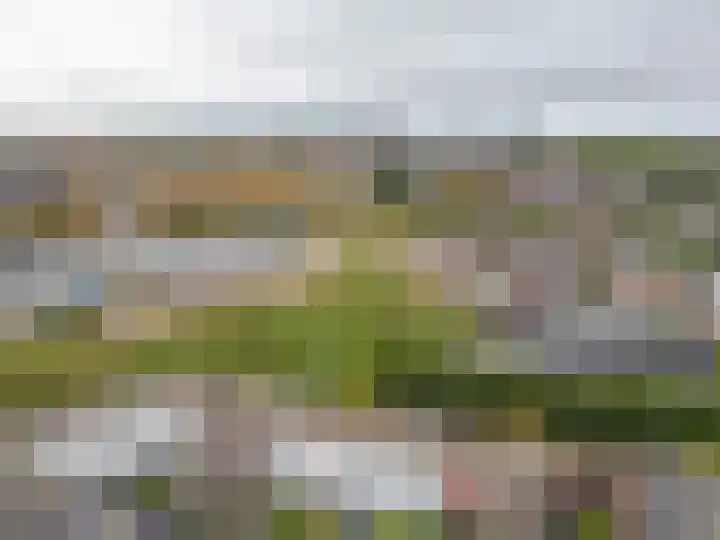 Evenementenlaan 27 Leiden thumbnail 36