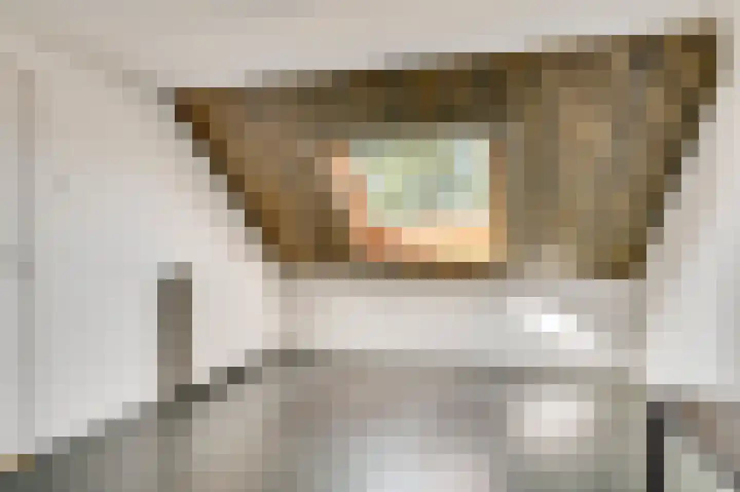 Evenestraat 17 Maarheeze thumbnail 28