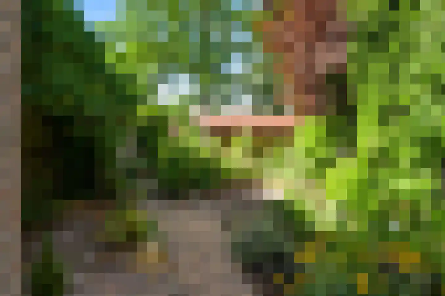 Evenestraat 17 Maarheeze thumbnail 32