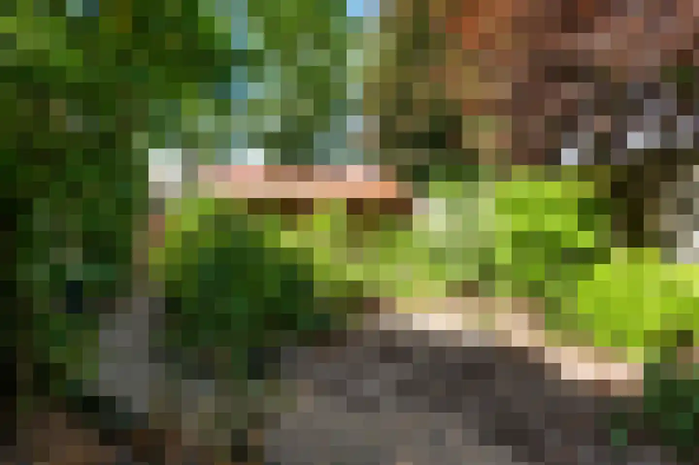 Evenestraat 17 Maarheeze thumbnail 33