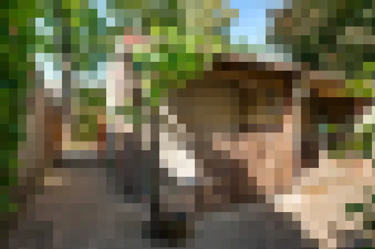 Evenestraat 17 Maarheeze thumbnail 34