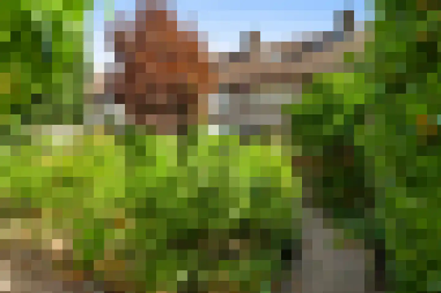 Evenestraat 17 Maarheeze thumbnail 35