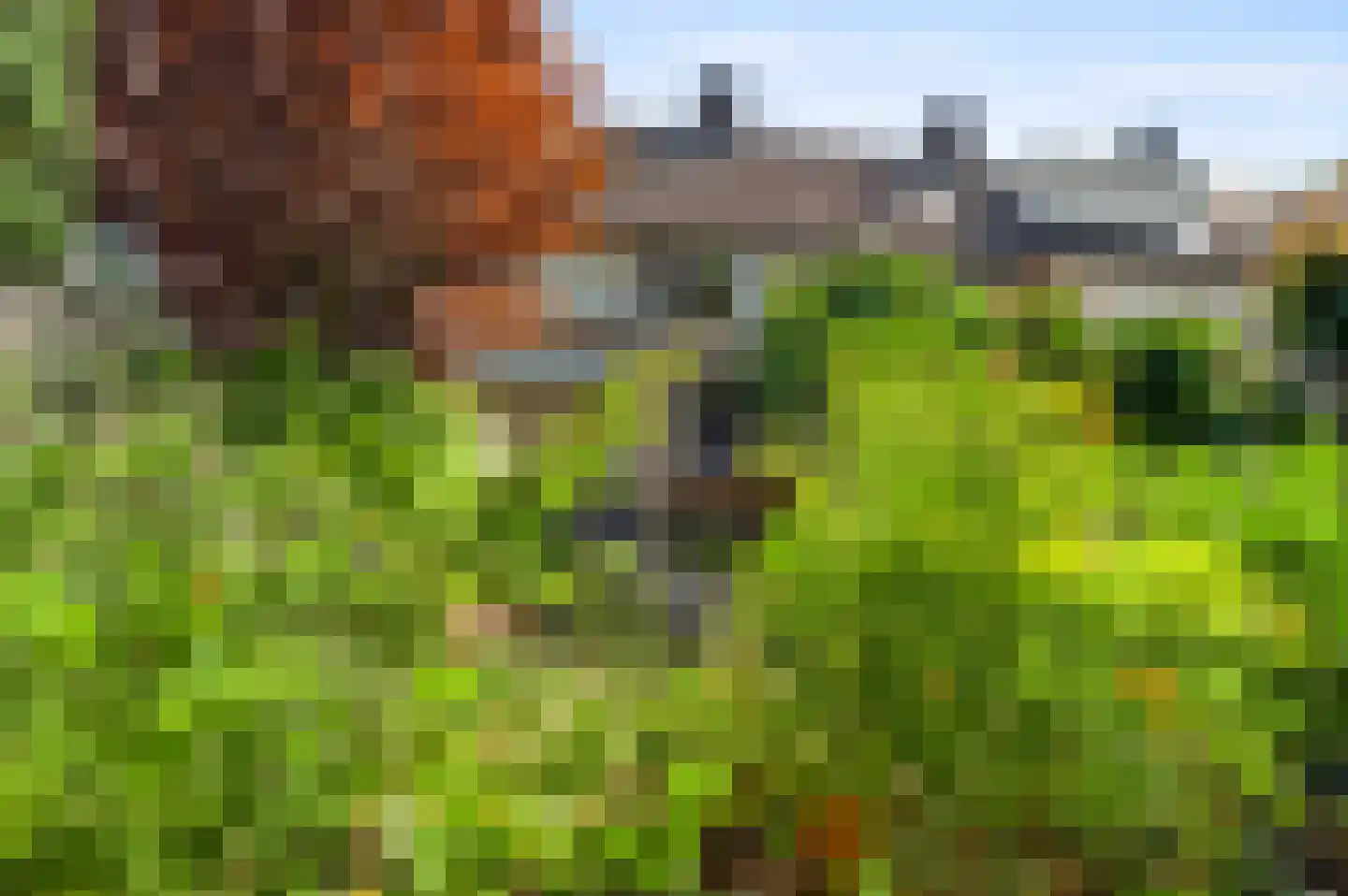 Evenestraat 17 Maarheeze thumbnail 36