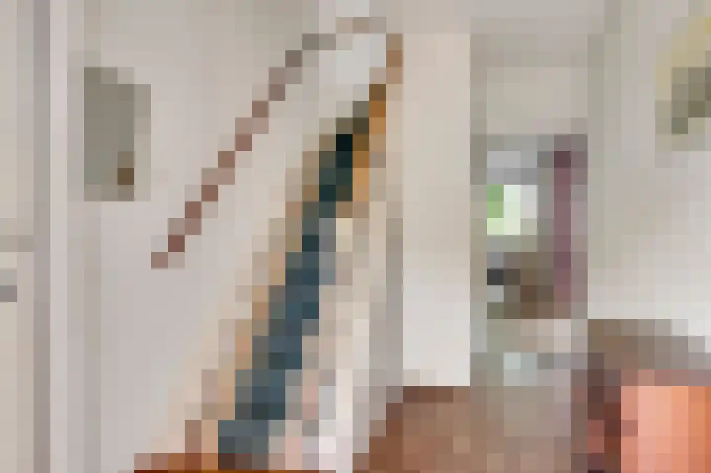Evenestraat 17 Maarheeze thumbnail 6