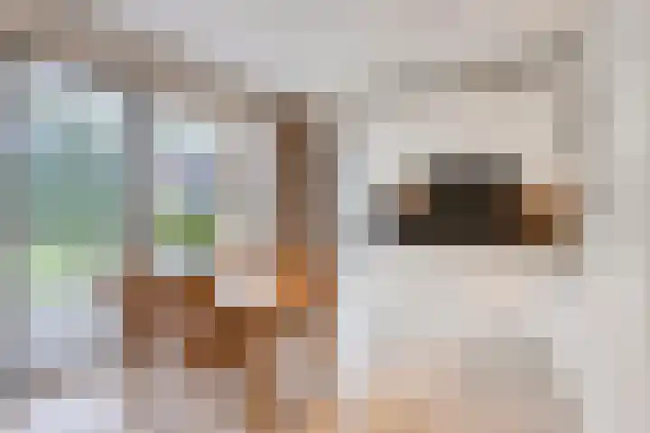 Evenestraat 2 a Maarheeze thumbnail 21
