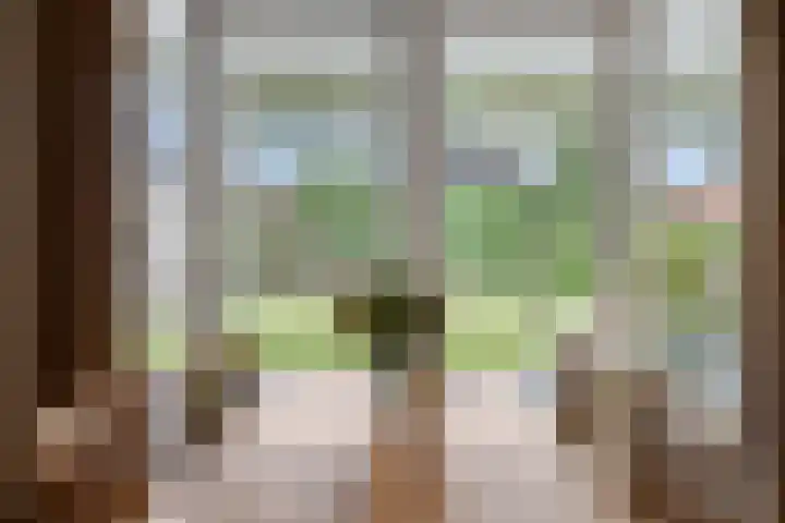 Evenestraat 2 a Maarheeze thumbnail 22