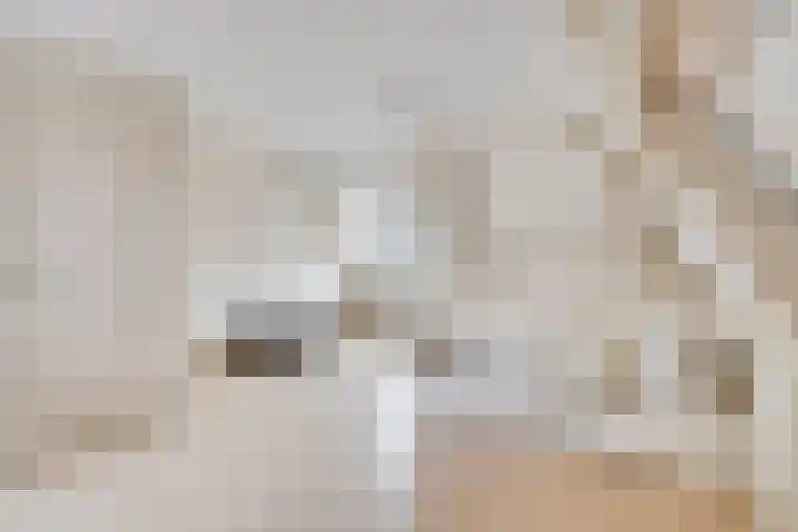 Evenestraat 2 a Maarheeze thumbnail 37