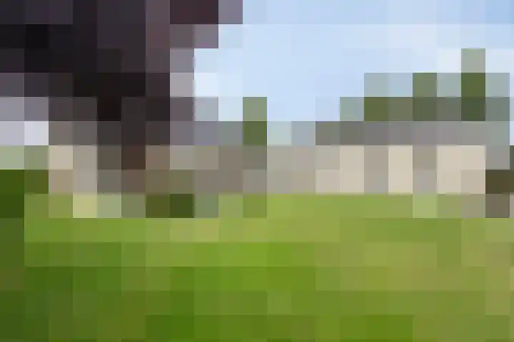 Evenestraat 2 a Maarheeze thumbnail 4