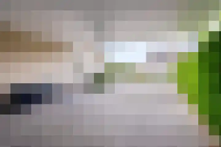 Evenestraat 2 a Maarheeze thumbnail 44