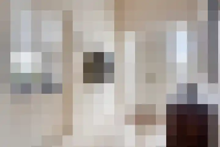 Evenestraat 2 a Maarheeze thumbnail 7