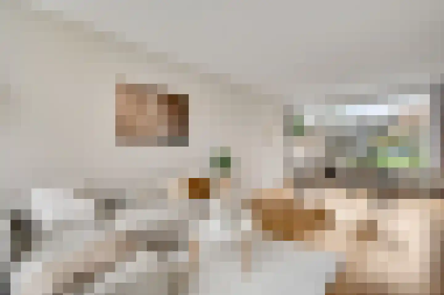 Evenestraat 3 Maarheeze thumbnail 12