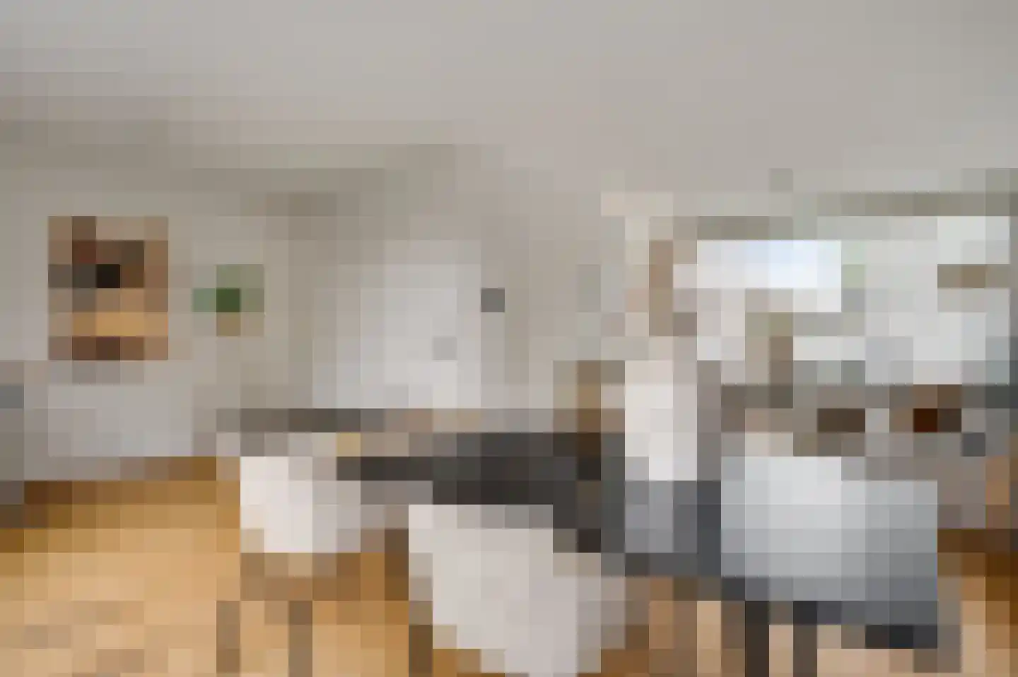 Evenestraat 3 Maarheeze thumbnail 13
