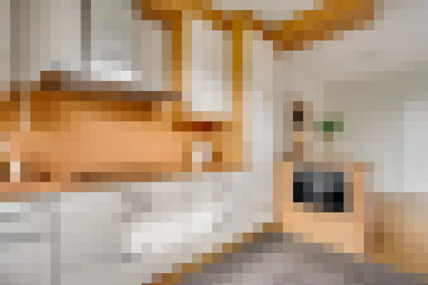 Evenestraat 3 Maarheeze thumbnail 17