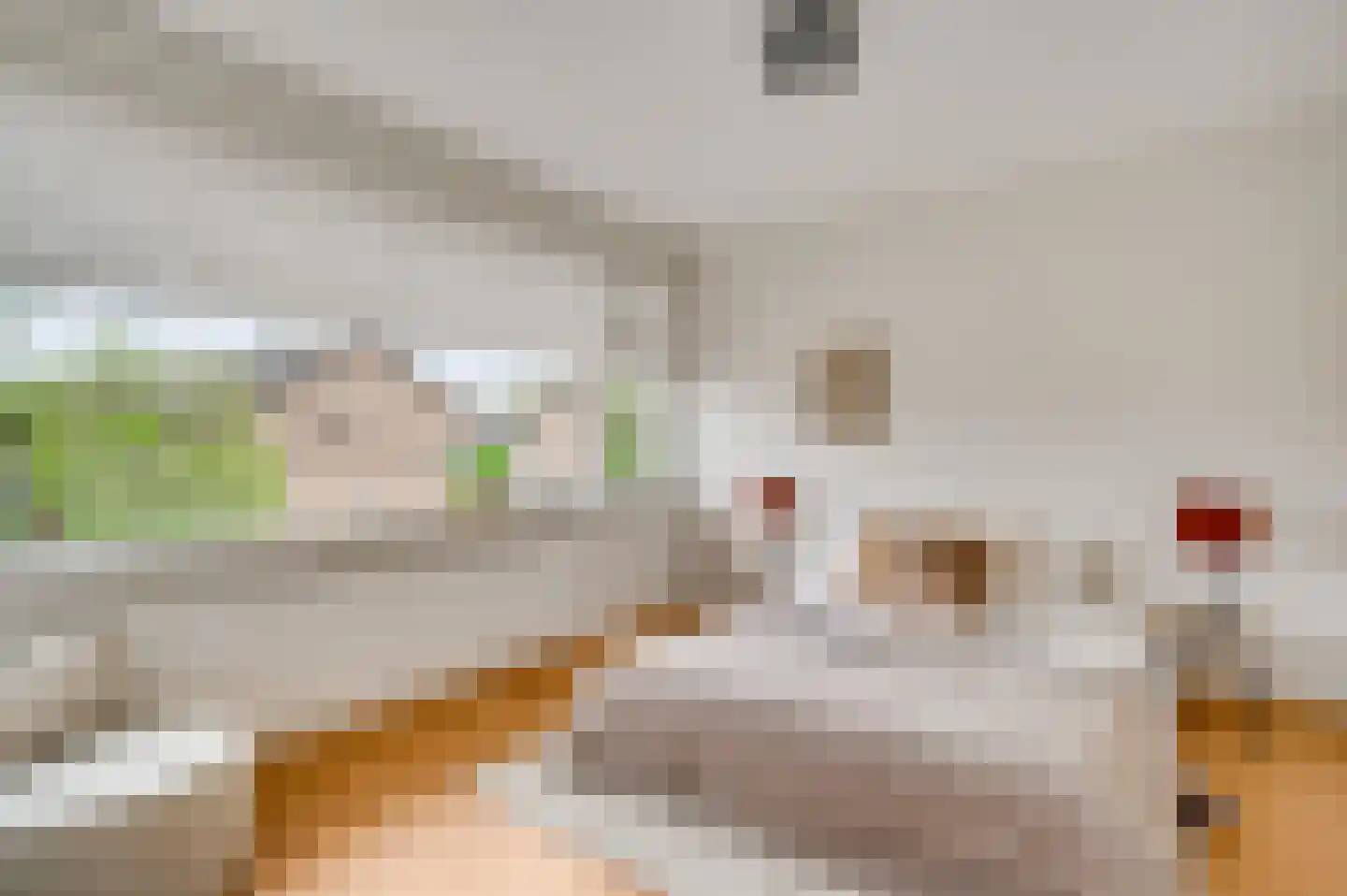 Evenestraat 3 Maarheeze thumbnail 20