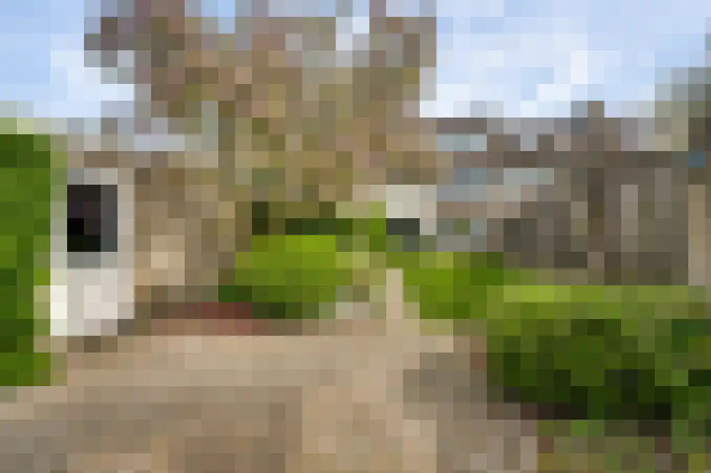 Evenestraat 3 Maarheeze thumbnail 34