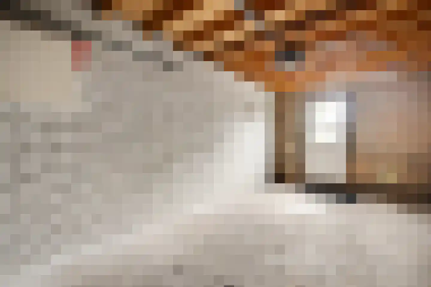 Evenestraat 3 Maarheeze thumbnail 36
