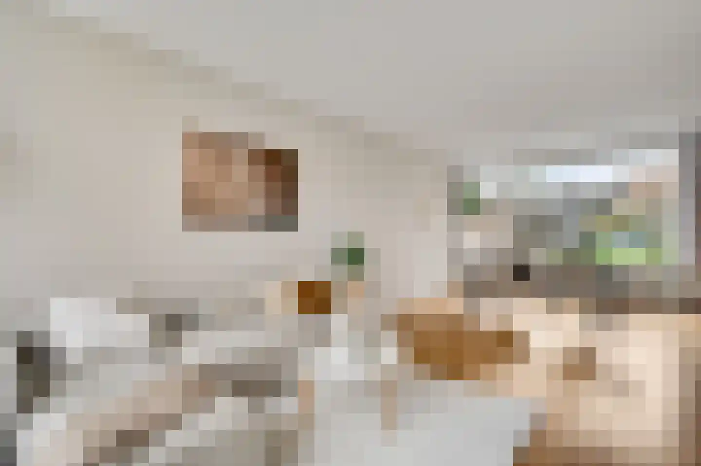 Evenestraat 3 Maarheeze thumbnail 5