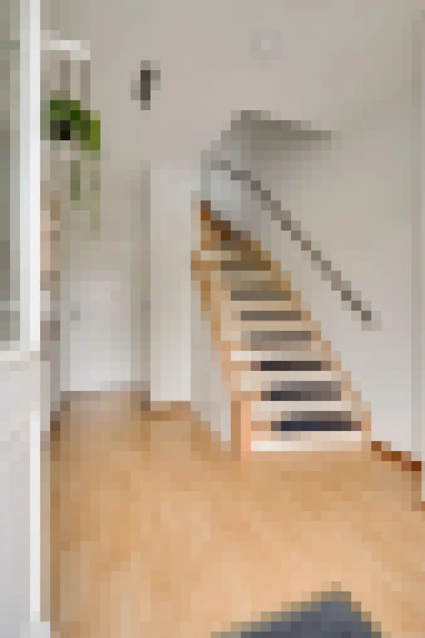 Evenestraat 3 Maarheeze thumbnail 9