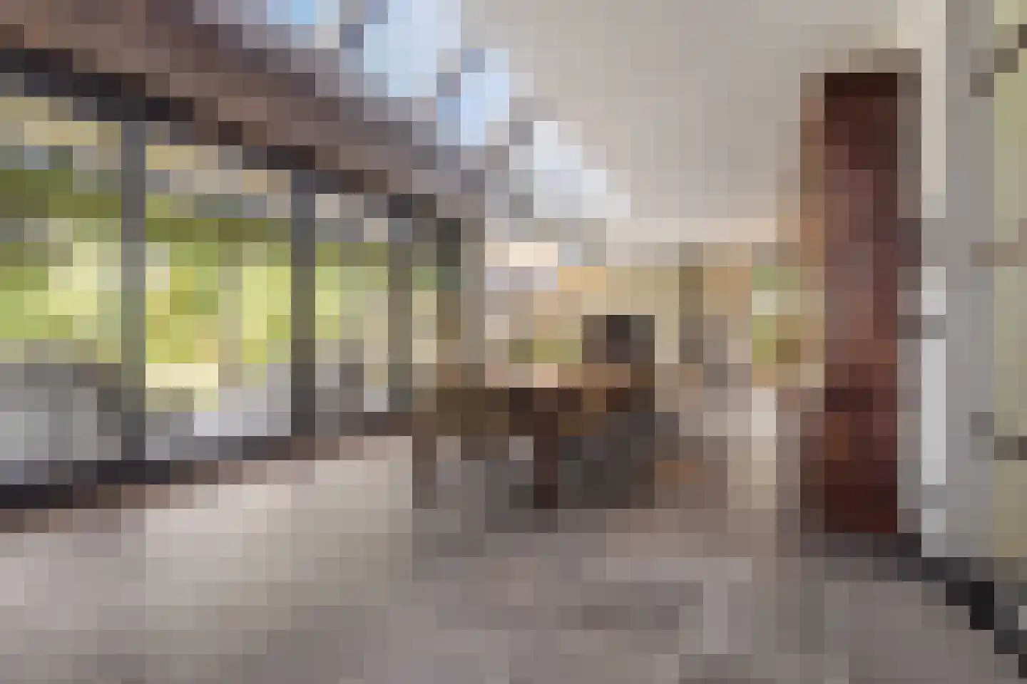 Evenheuvel 1 Oirschot thumbnail 10