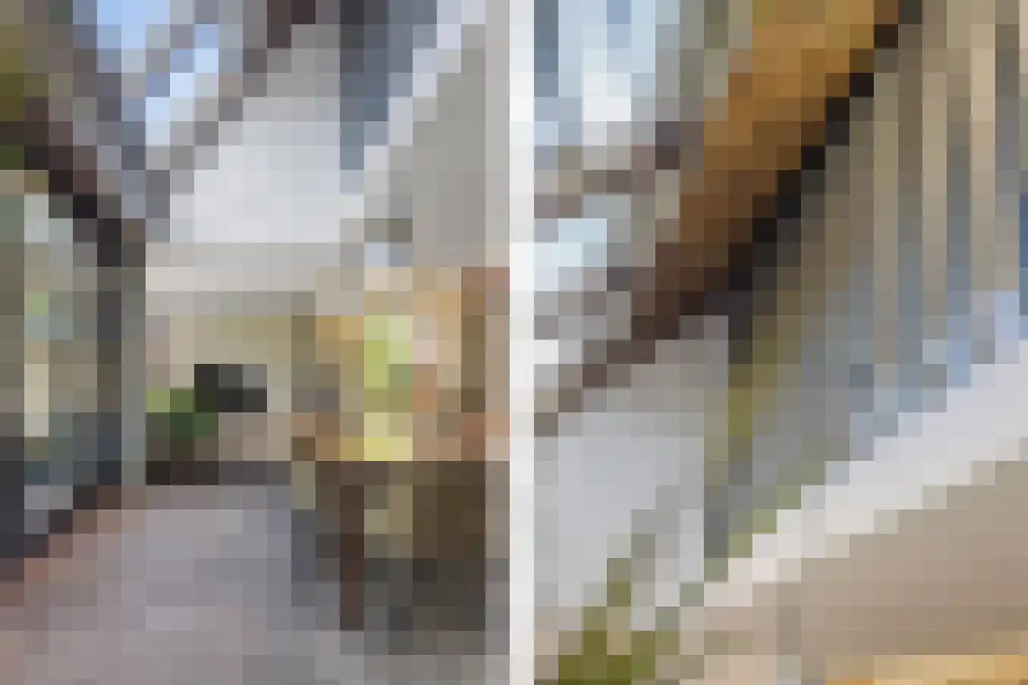Evenheuvel 1 Oirschot thumbnail 11