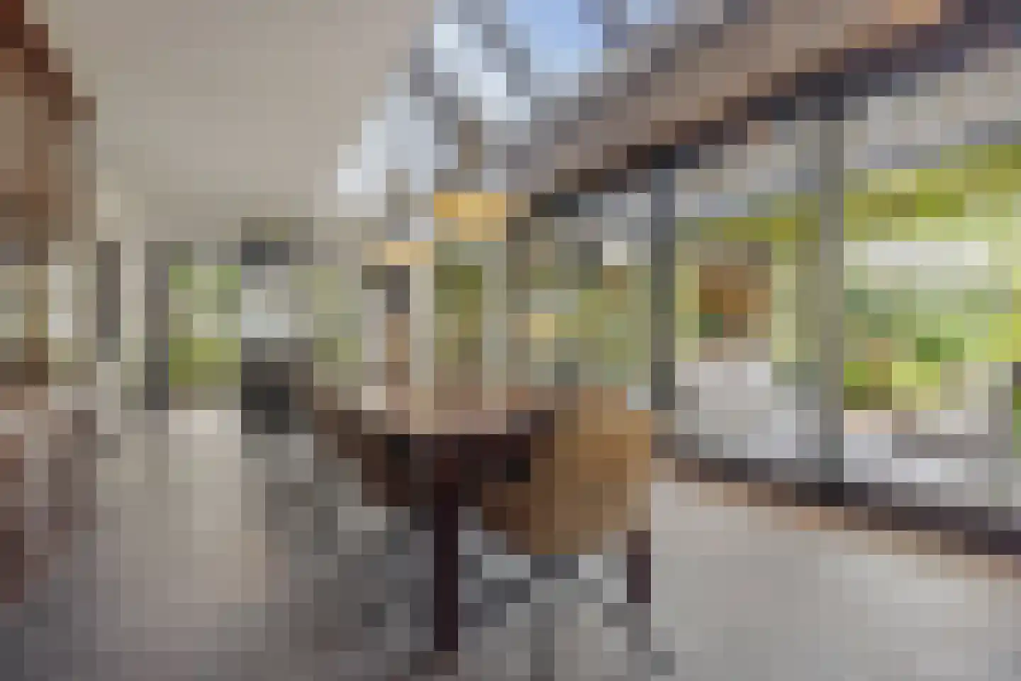 Evenheuvel 1 Oirschot thumbnail 15