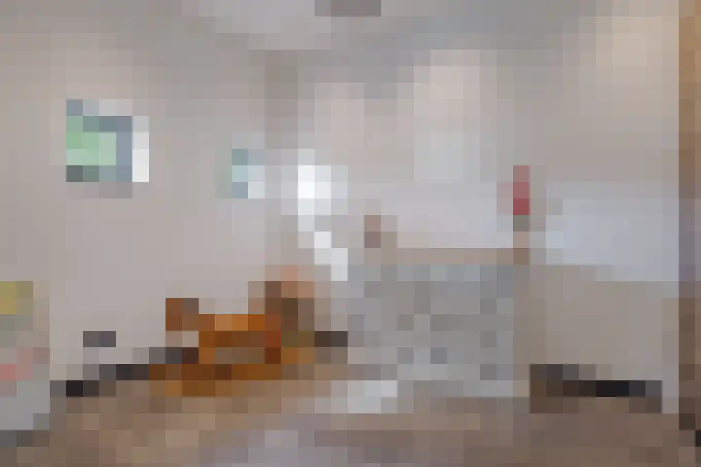 Evenheuvel 1 Oirschot thumbnail 28