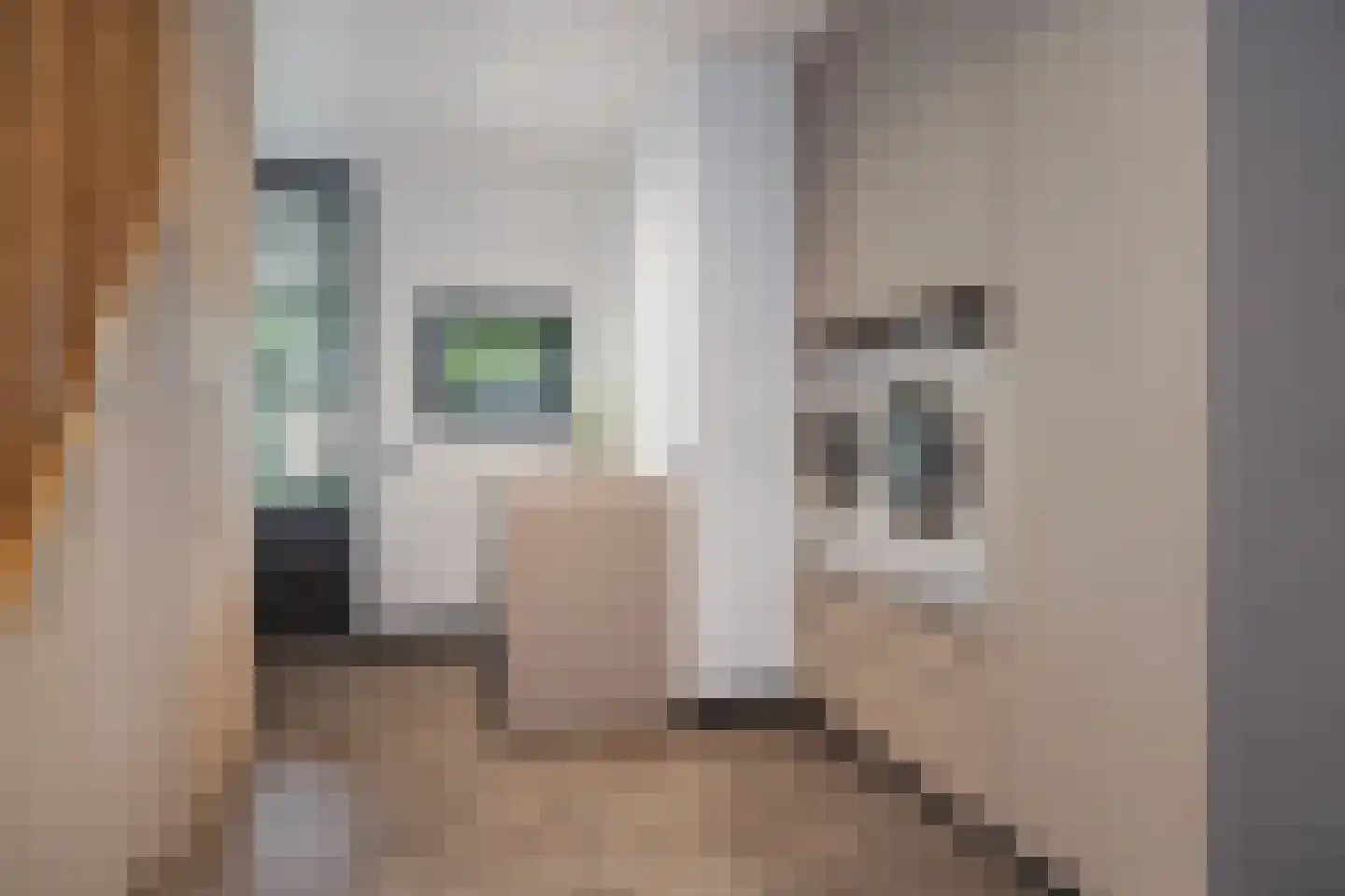Evenheuvel 1 Oirschot thumbnail 31