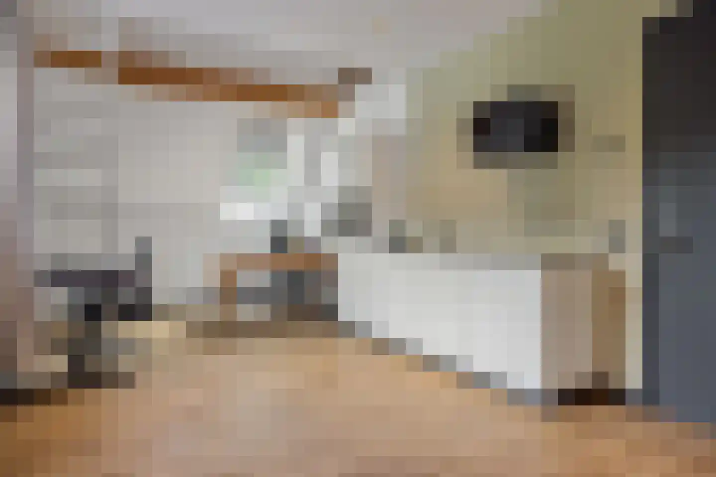 Evenheuvel 1 Oirschot thumbnail 41