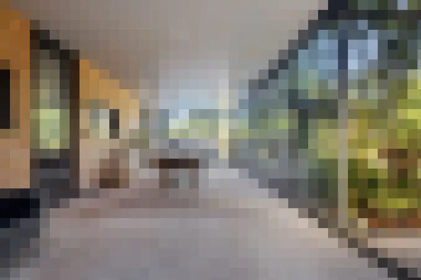 Evenheuvel 1 Oirschot thumbnail 48