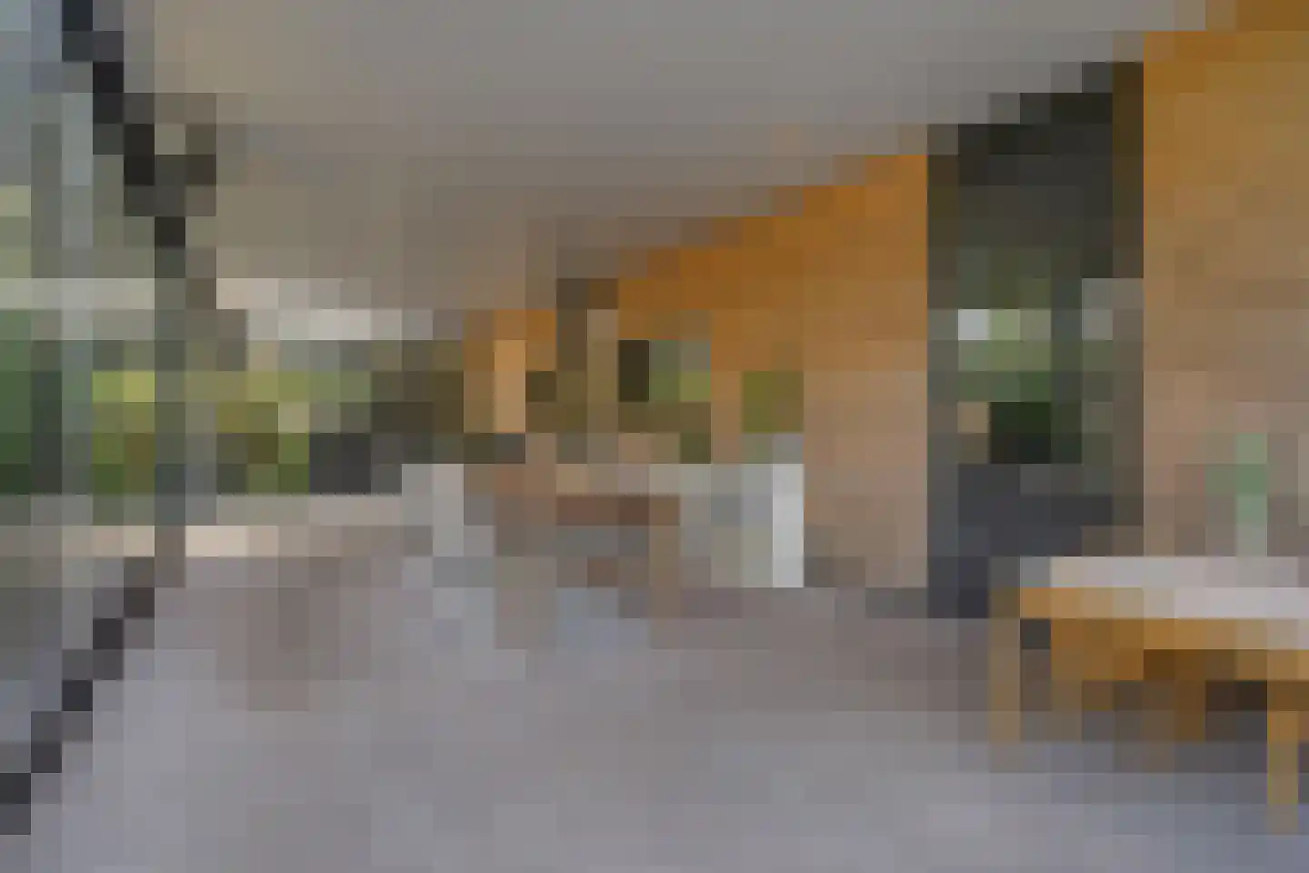 Evenheuvel 1 Oirschot thumbnail 49