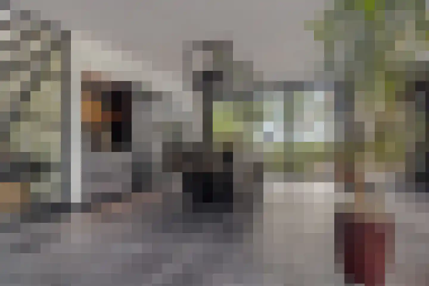 Evenheuvel 1 Oirschot thumbnail 5