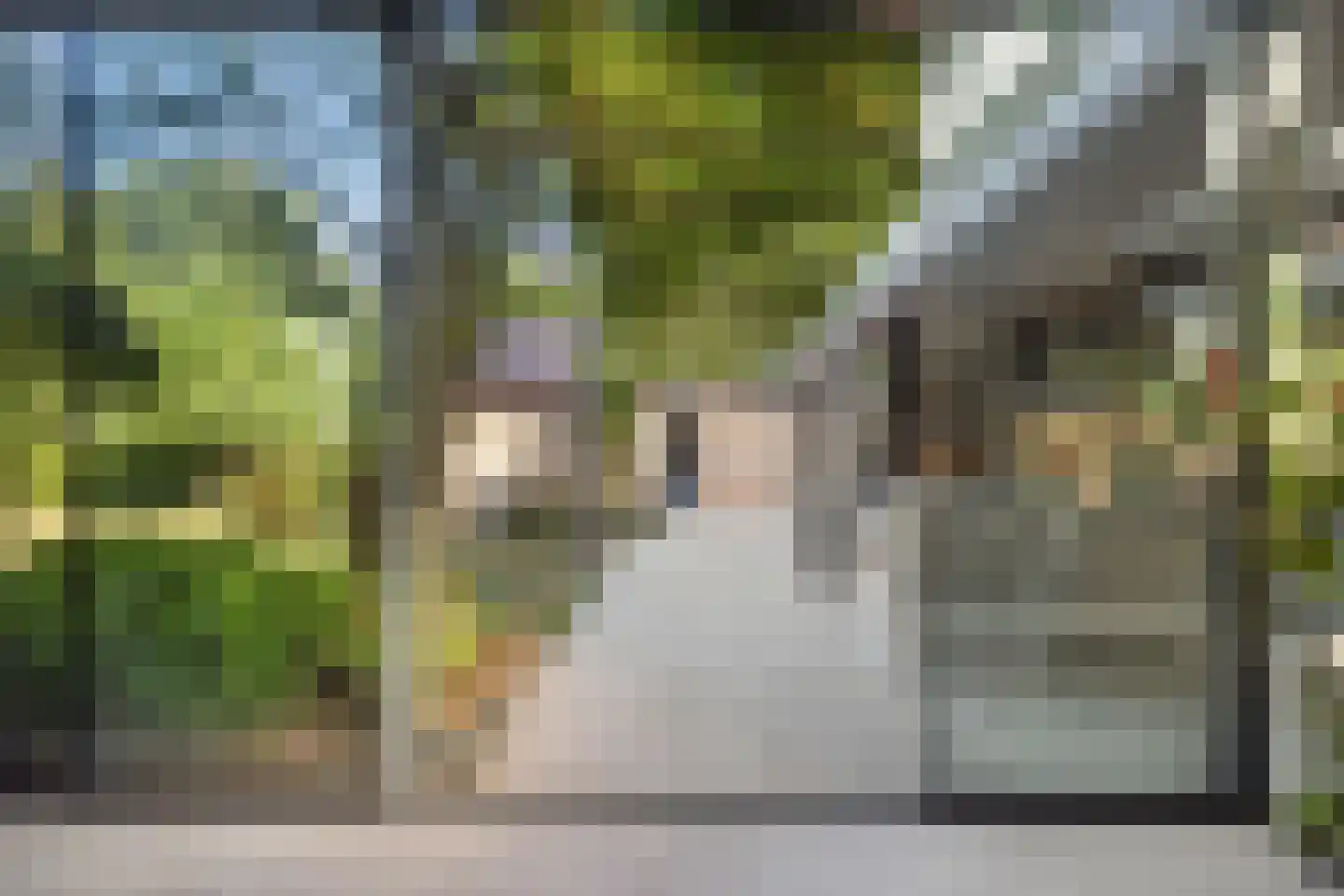 Evenheuvel 1 Oirschot thumbnail 50