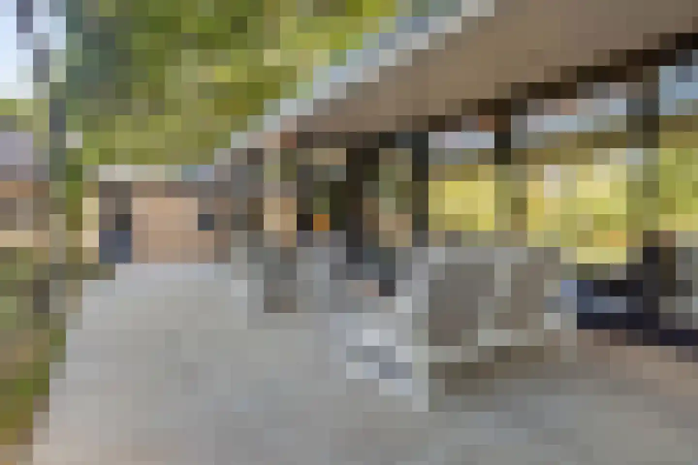 Evenheuvel 1 Oirschot thumbnail 51