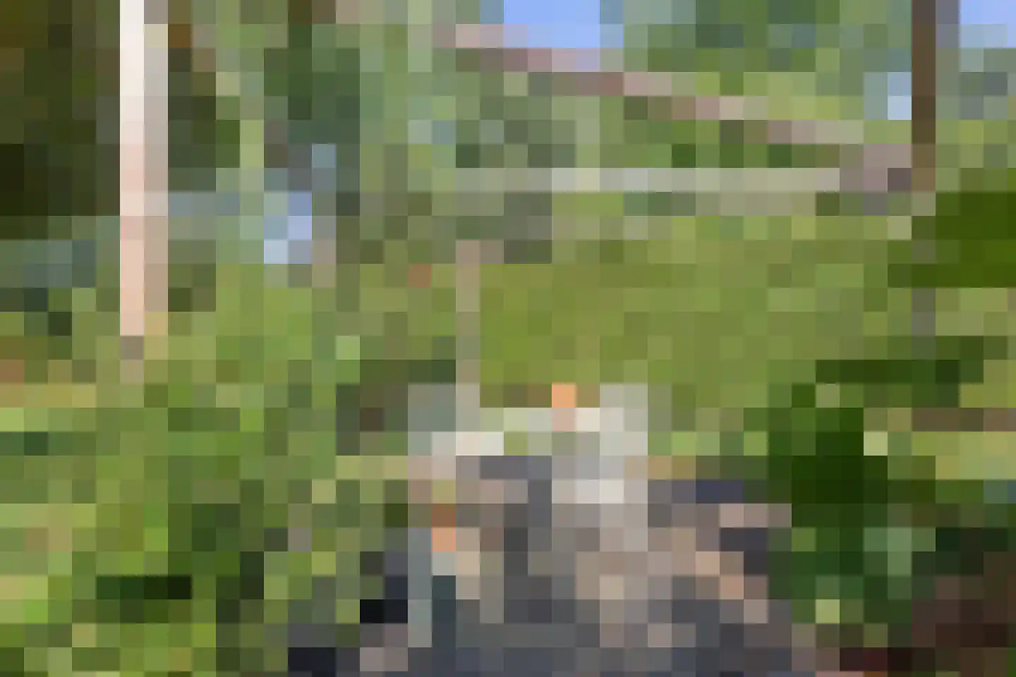 Evenheuvel 1 Oirschot thumbnail 53