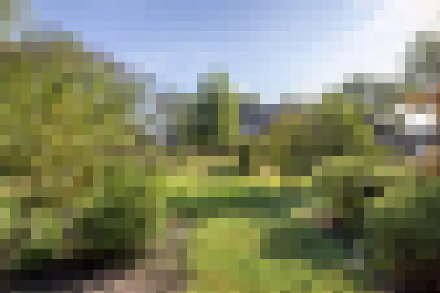 Evenheuvel 1 Oirschot thumbnail 55