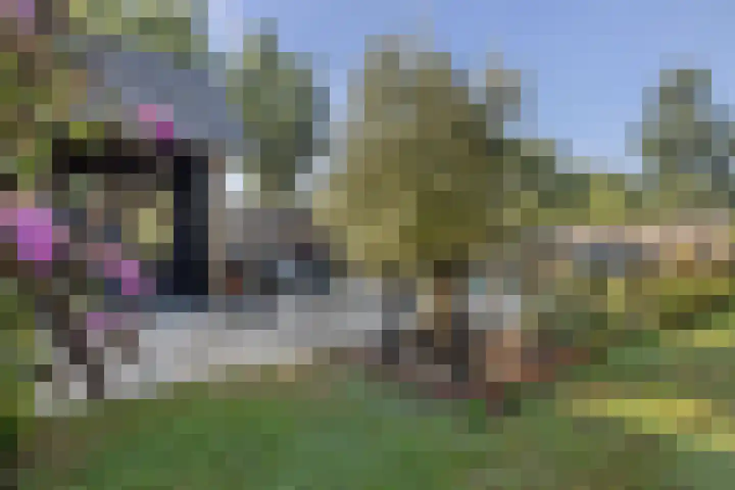 Evenheuvel 1 Oirschot thumbnail 58