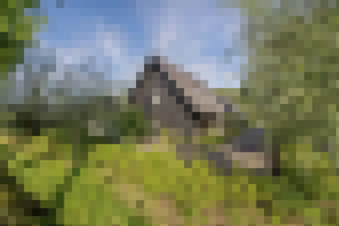 Evenheuvel 1 Oirschot thumbnail 6