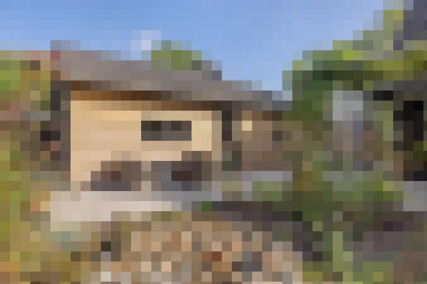 Evenheuvel 1 Oirschot thumbnail 64