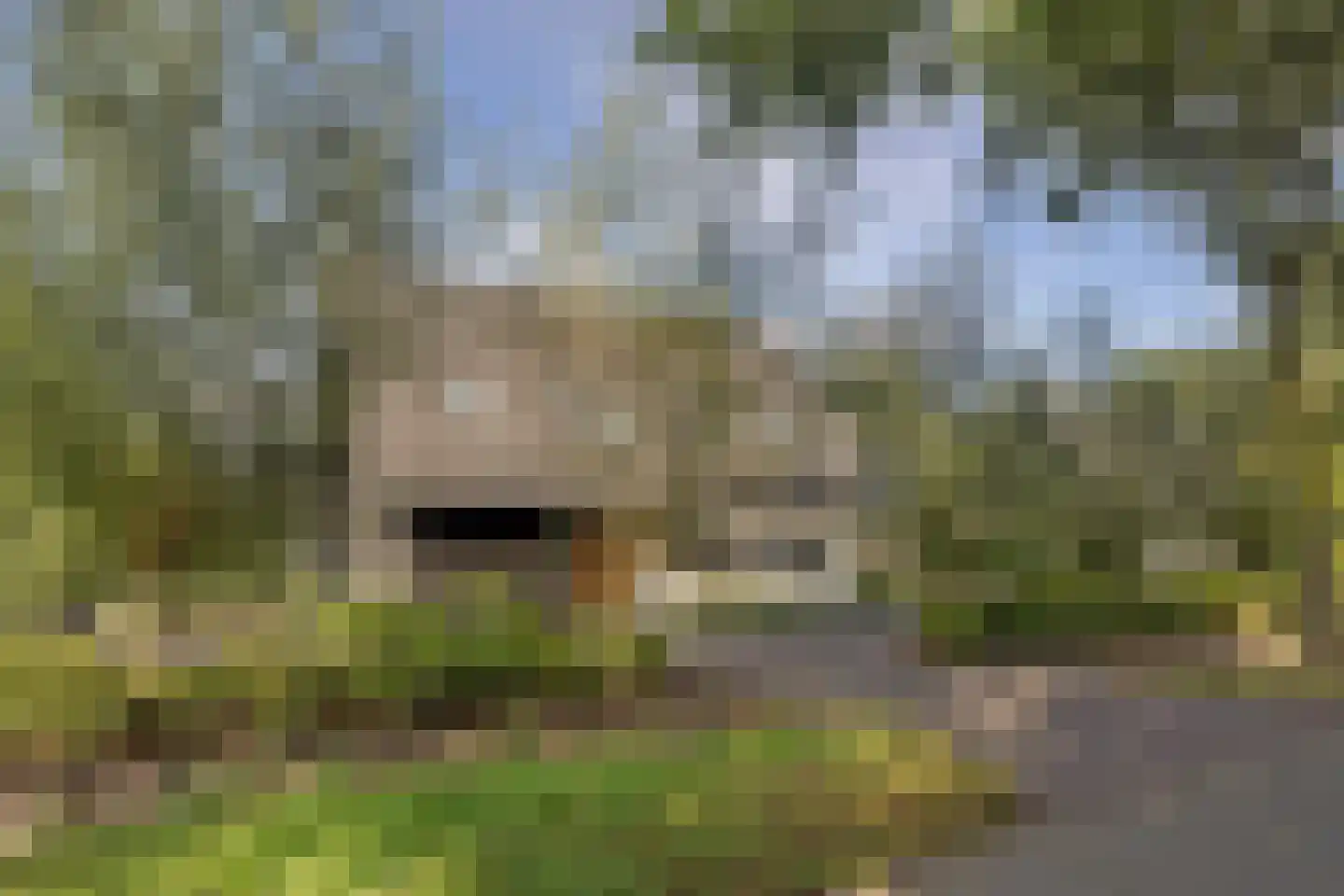 Evenheuvel 1 Oirschot thumbnail 67