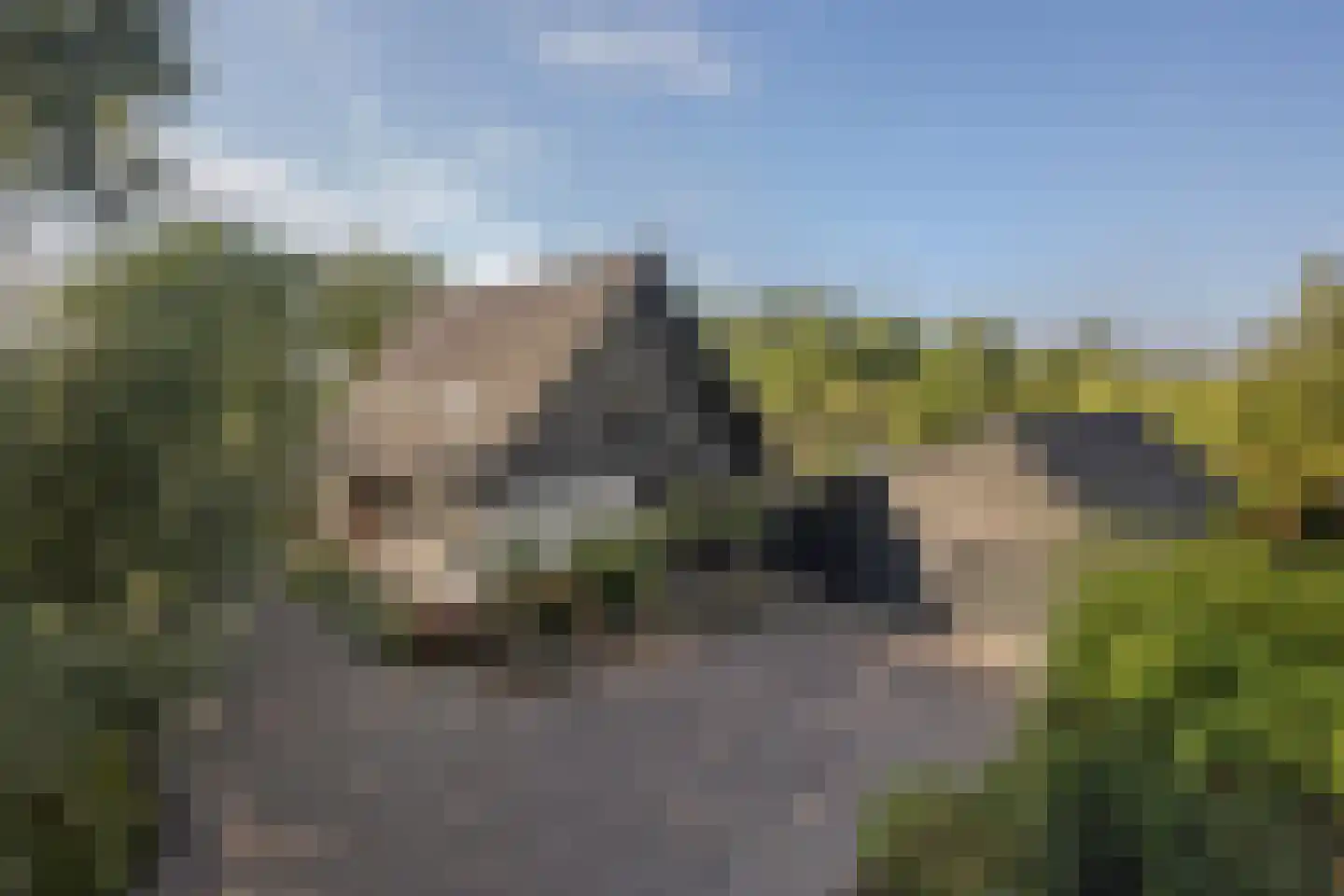 Evenheuvel 1 Oirschot thumbnail 68