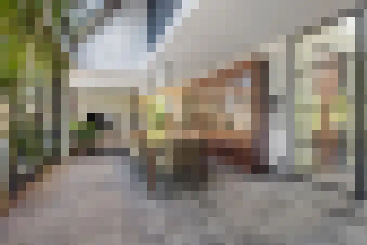 Evenheuvel 1 Oirschot thumbnail 9